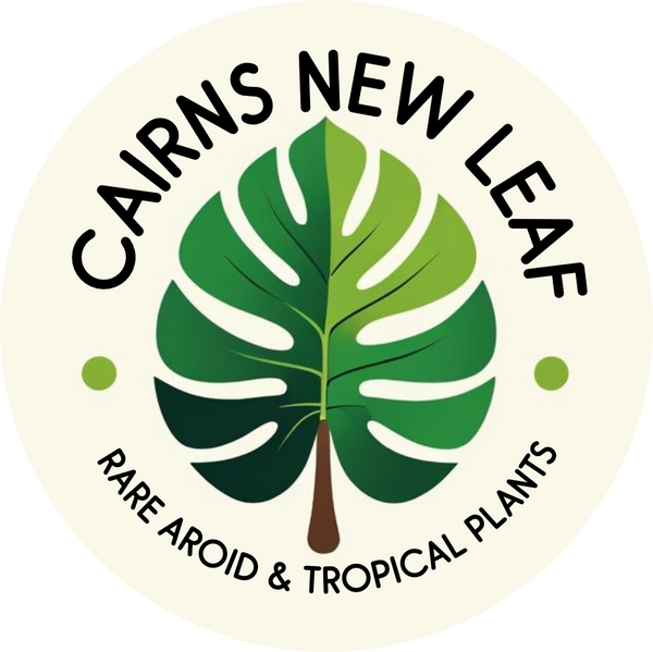 cairns new leaf